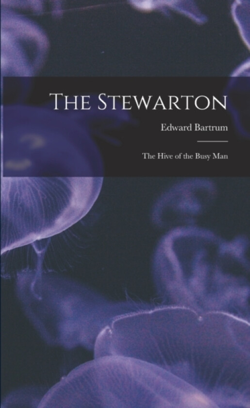 The Stewarton av Edward Bartrum (Paperback)