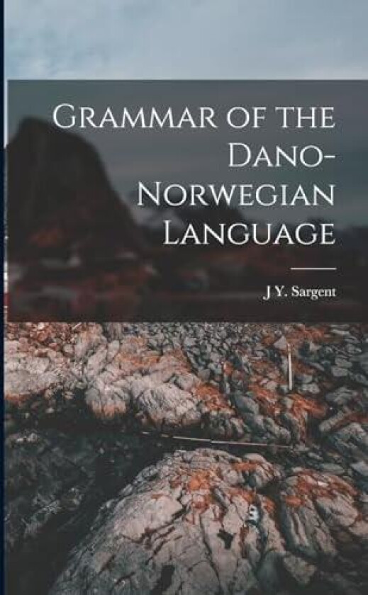 Grammar of the Dano-Norwegian Language av J Y Sargent (Paperback)