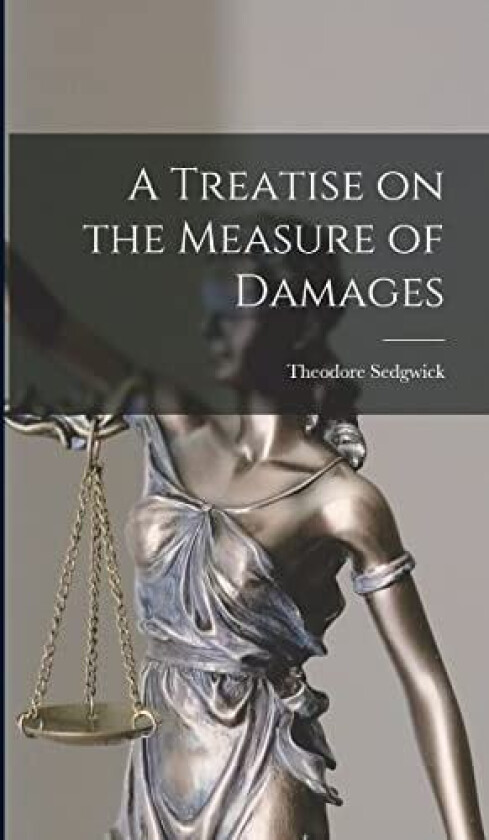 A Treatise on the Measure of Damages av Theodore Sedgwick Jr. (Hardcover)