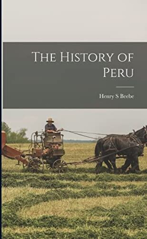 The History of Peru av Henry S Beebe (Paperback)