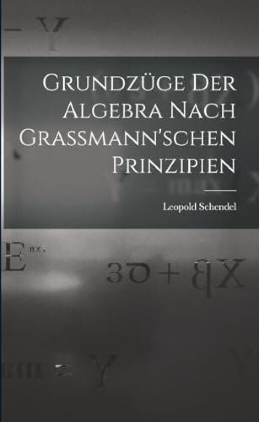 Grundzuge der Algebra Nach Grassmann'schen Prinzipien av Leopold Schendel (Paperback)