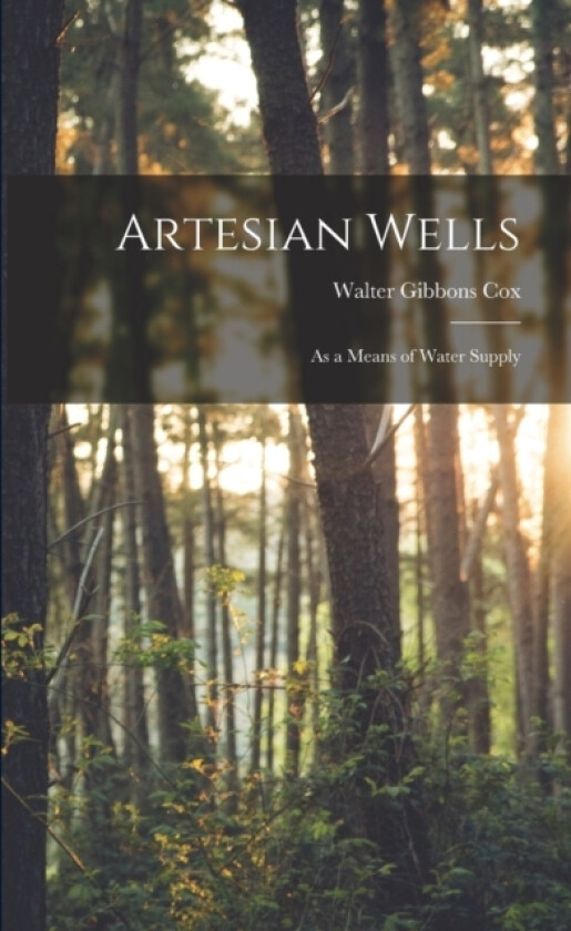 Artesian Wells av Walter Gibbons Cox (Paperback)