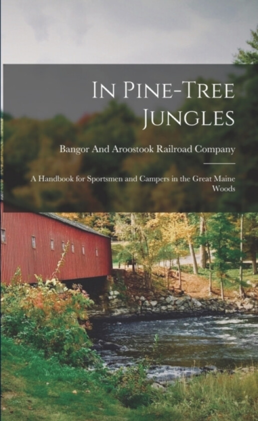 In Pine-Tree Jungles av Bangor And Aroostook Railroad Company (Paperback)