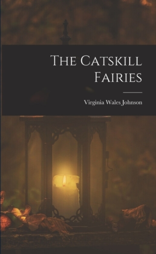 The Catskill Fairies av Virginia Wales Johnson (Paperback)
