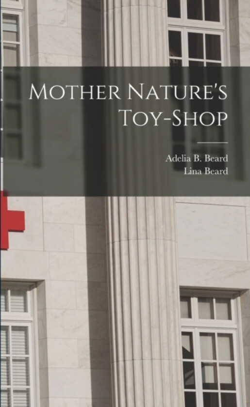 Mother Nature's Toy-shop av Beard Lina (Paperback)