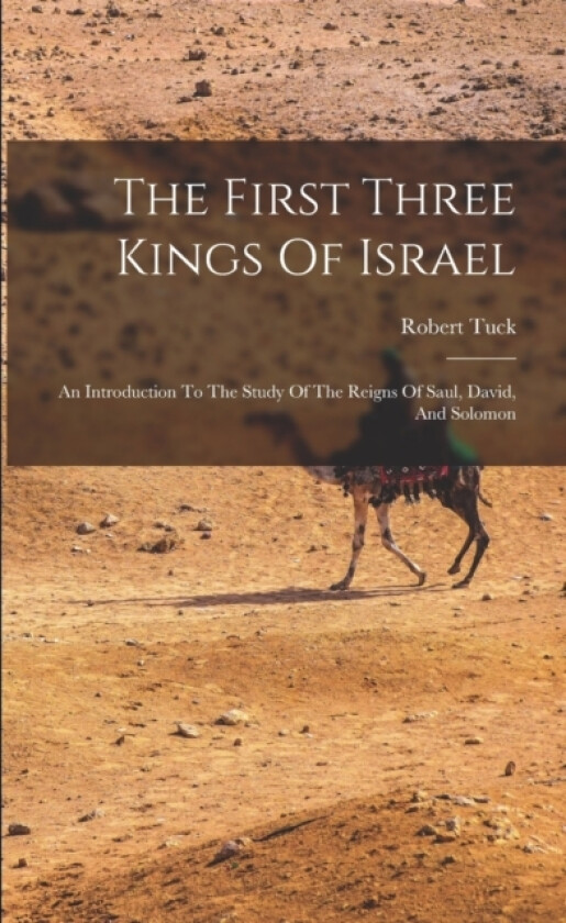 The First Three Kings Of Israel av Robert Tuck (Paperback)