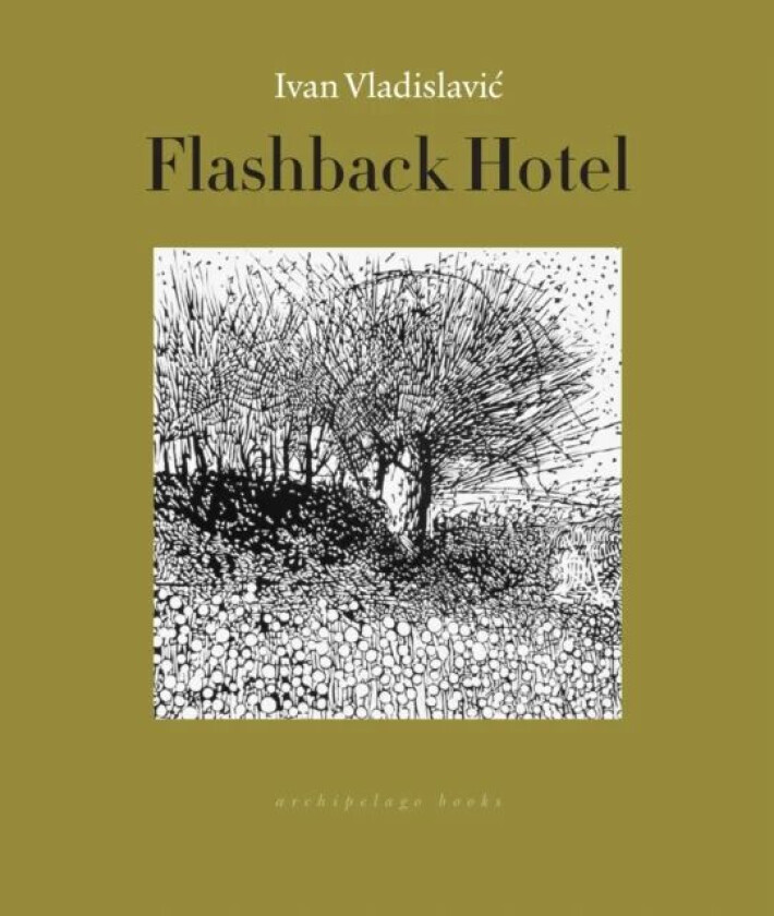 Flashback Hotel av Ivan Vladislavic