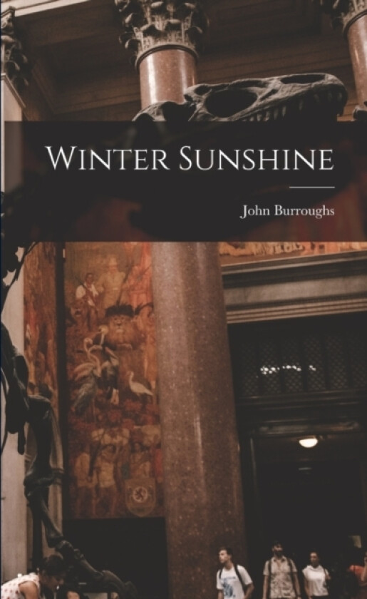 Winter Sunshine av John Burroughs (Paperback)