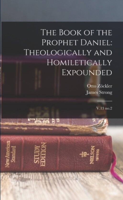 The Book of the Prophet Daniel av Otto Zockler, James Strong (Paperback)