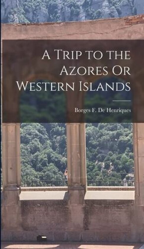 A Trip to the Azores Or Western Islands av Borges F De Henriques (Hardcover)