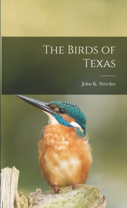 The Birds of Texas av John K Strecker (Paperback)