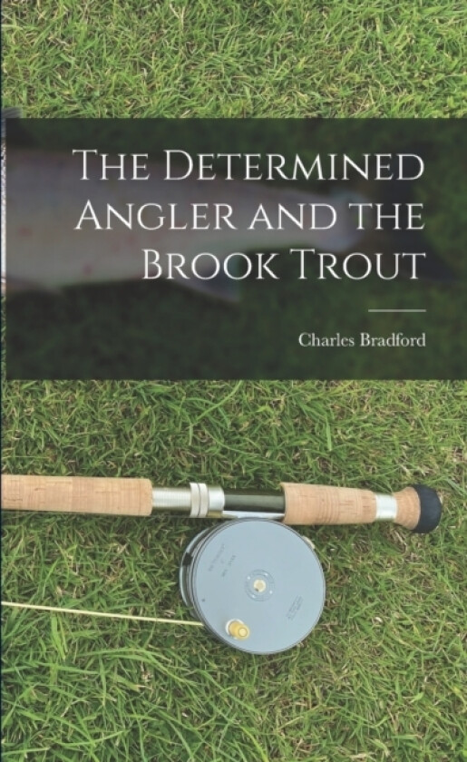 The Determined Angler and the Brook Trout av Charles Bradford (Paperback)