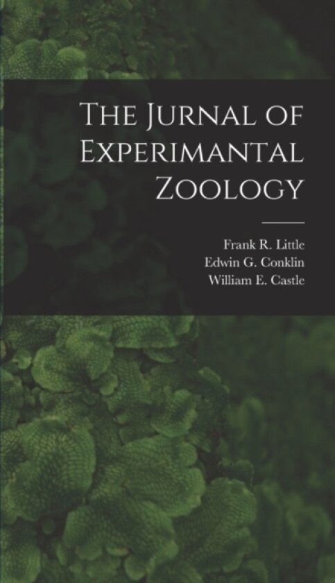 The Jurnal of Experimantal Zoology av William E Castle, William K Brooks, Jacques Loeb (Hardcover)