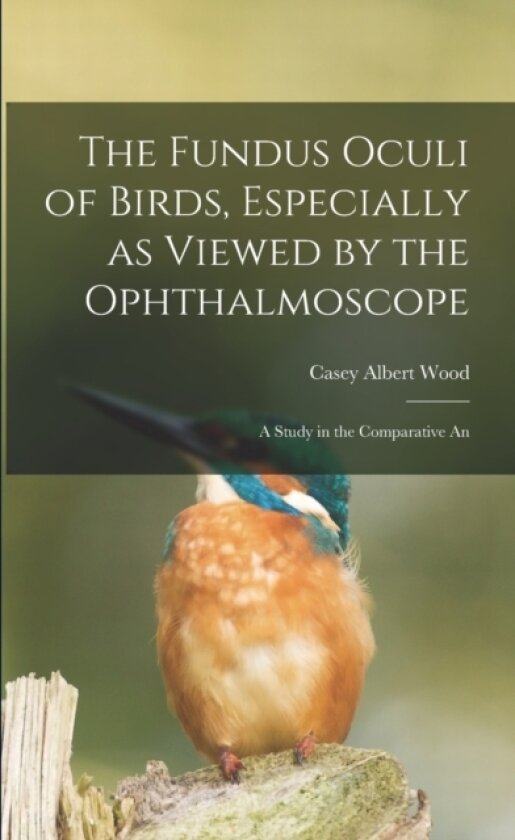The Fundus Oculi of Birds, Especially as Viewed by the Ophthalmoscope; a Study in the Comparative An av Casey Albert Wood (Paperback)