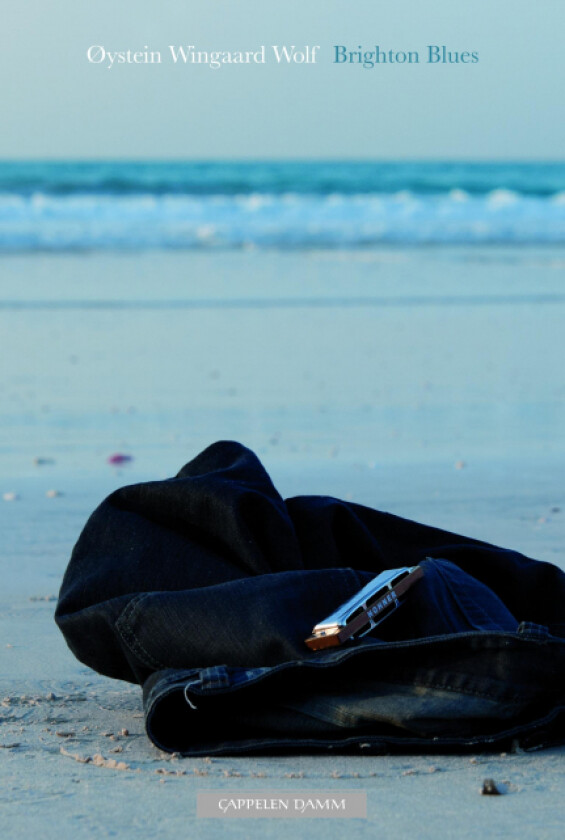 Brighton blues av Øystein Wingaard Wolf