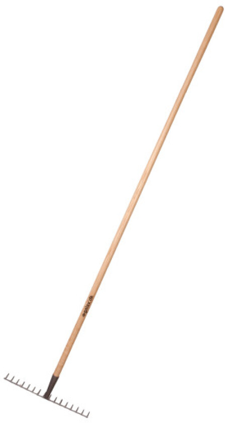 Galax rive, 16-tann/40,0 cm