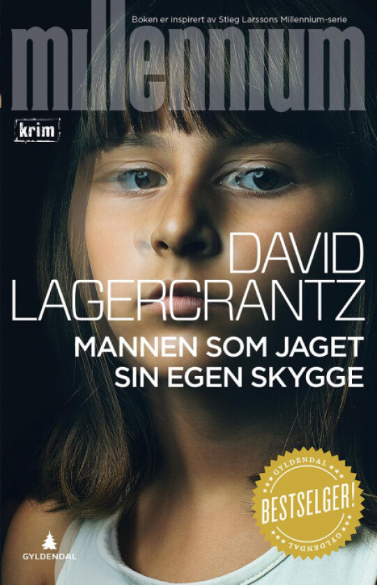 Mannen som jaget sin egen skygge av David Lagercrantz