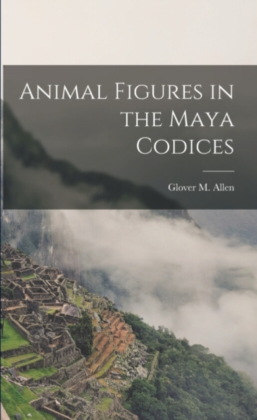 Animal Figures in the Maya Codices av Glover M Allen (Paperback)