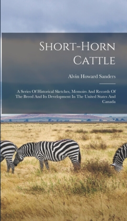 Short-horn Cattle av Alvin Howard Sanders (Hardcover)
