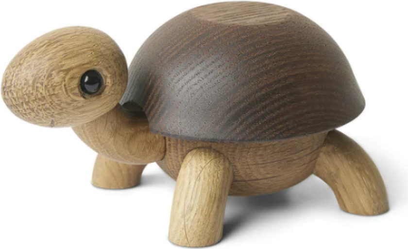 Bilde av Skilpadden Speedy