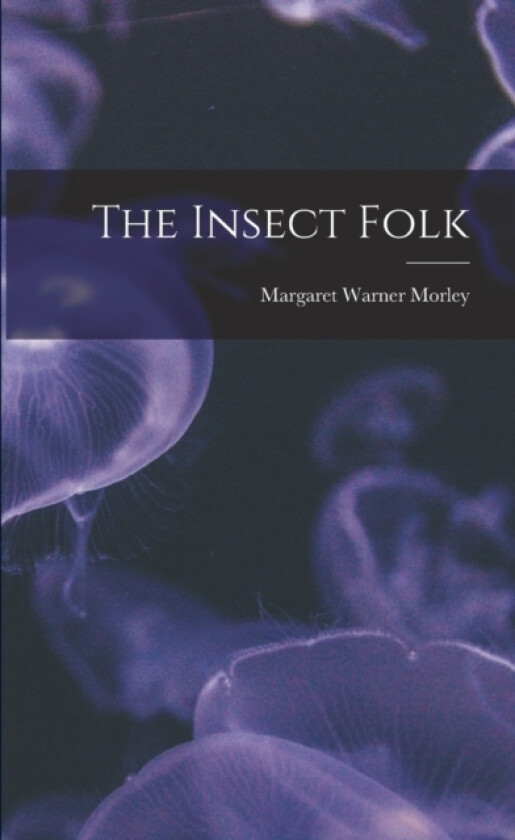 The Insect Folk av Margaret Warner Morley (Paperback)