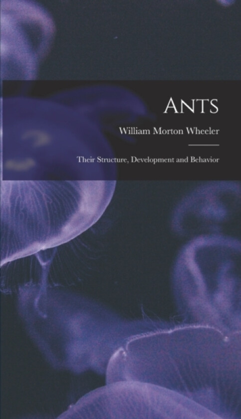 Ants av Wheeler William Morton (Hardcover)