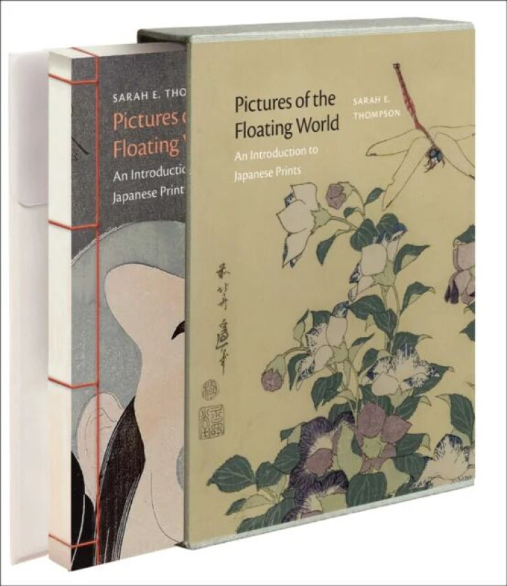 Pictures of the Floating World av Sarah E. Thompson