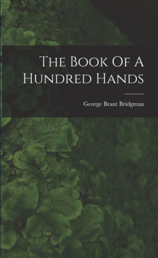 The Book Of A Hundred Hands av George Brant Bridgman (Paperback)