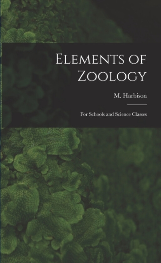 Elements of Zoology av M Harbison (Paperback)