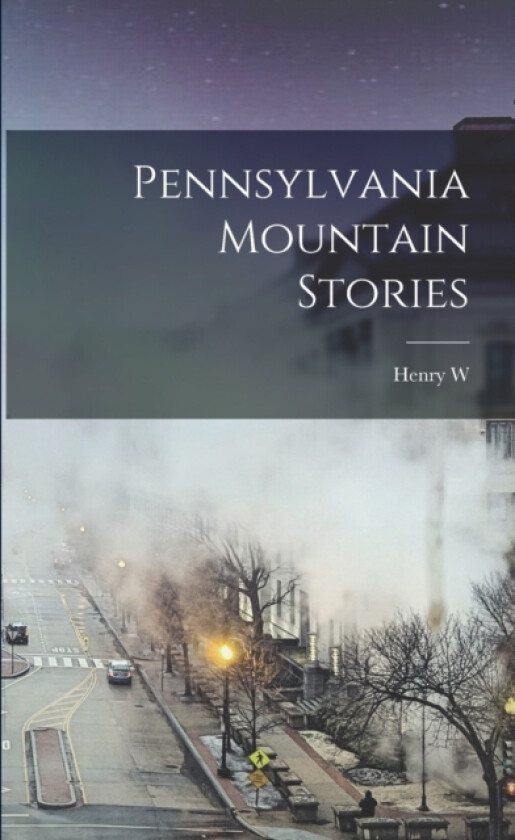 Pennsylvania Mountain Stories av Henry W B 1880 Shoemaker (Paperback)