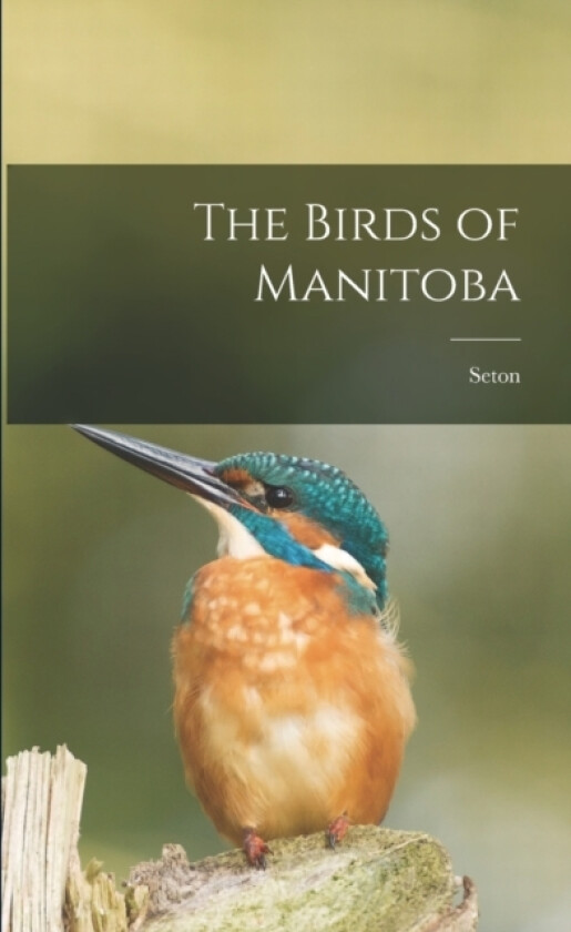 The Birds of Manitoba av Seton (Paperback)