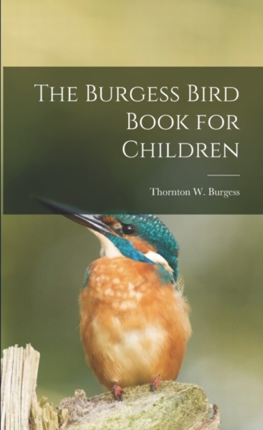 The Burgess Bird Book for Children av Burgess Thornton W (Paperback)