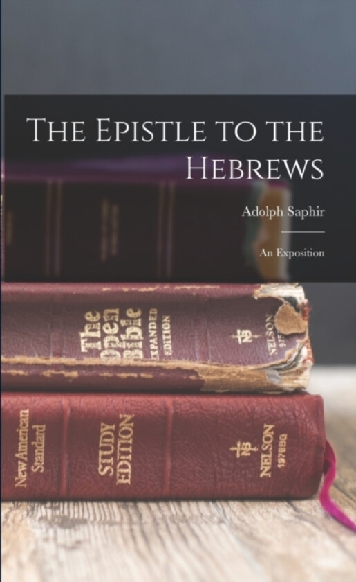 The Epistle to the Hebrews av Saphir Adolph (Paperback)