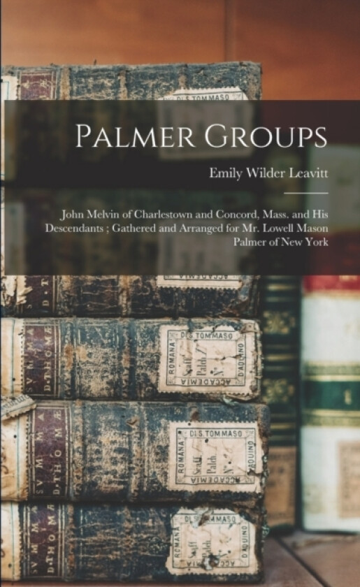 Palmer Groups av Emily Wilder Leavitt (Paperback)