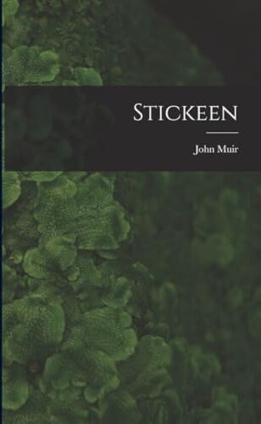 Stickeen av John Muir (Paperback)