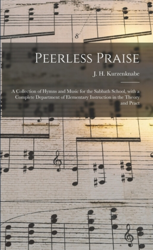 Peerless Praise av J H Kurzenknabe (Paperback)