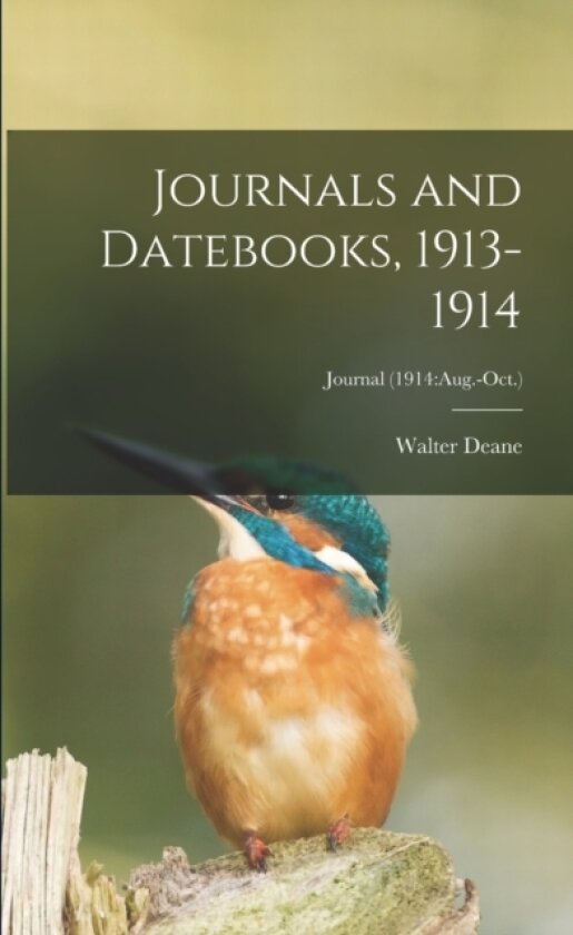 Journals and Datebooks, 1913-1914; Journal (1914 av Walter 1848-1930 Deane (Paperback)
