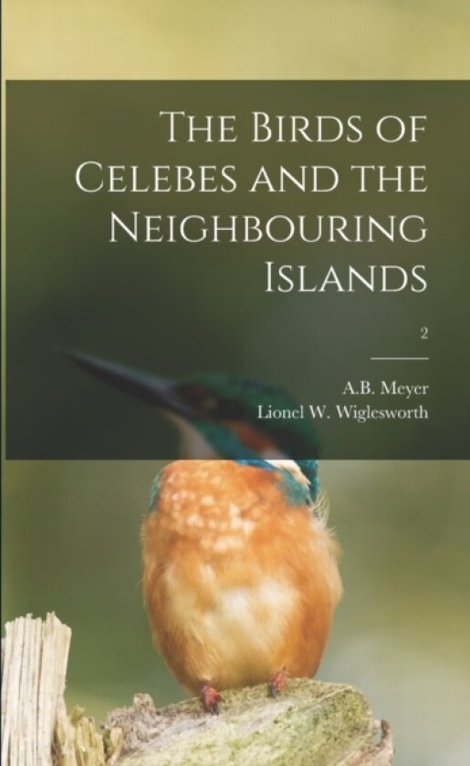 The Birds of Celebes and the Neighbouring Islands; 2 av A B 1840-19 Meyer, Lionel W2175 Wiglesworth (Paperback)