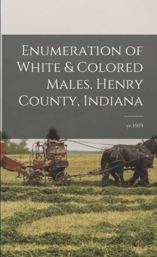 Enumeration of White & Colored Males, Henry County, Indiana; yr.1919 av Anonymous (Paperback)