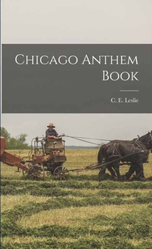 Chicago Anthem Book av C E Leslie (Paperback)
