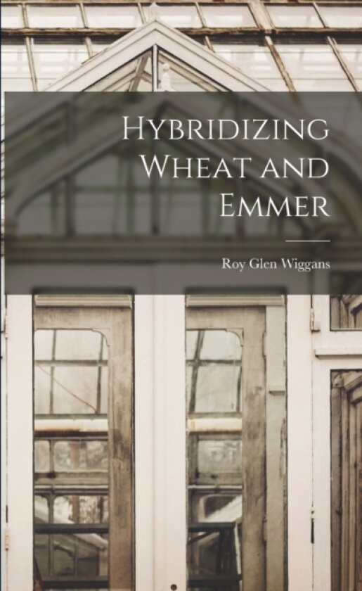 Hybridizing Wheat and Emmer av Roy Glen 1891- Wiggans (Paperback)