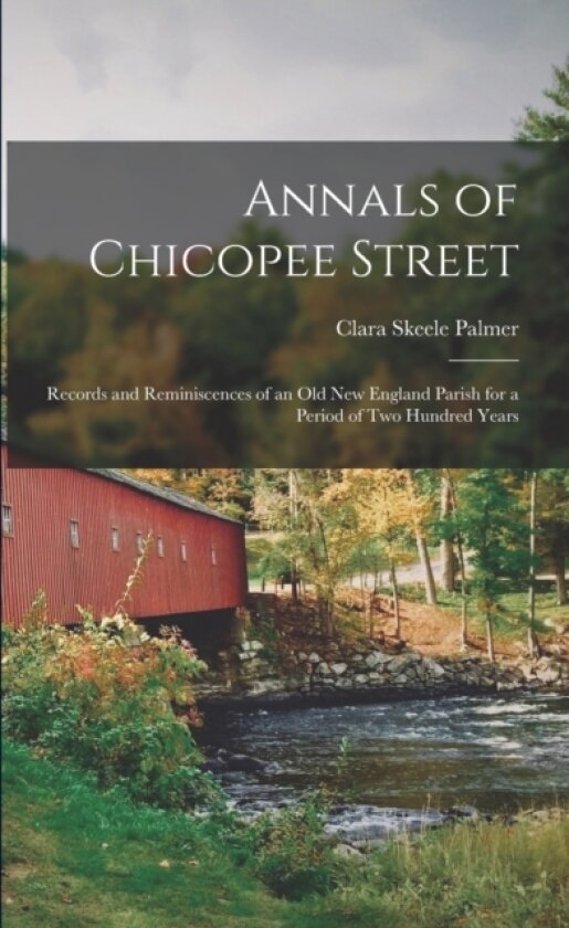 Annals of Chicopee Street av Clara Skeele Palmer (Paperback)