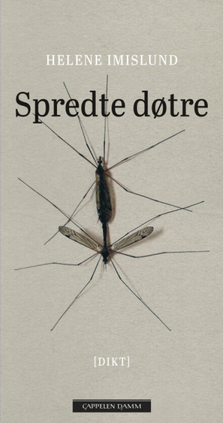 Spredte døtre av Helene Imislund