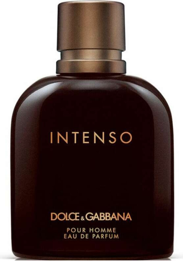 Herre parfyme Dolce & Gabbana EDP 200 ml Intenso