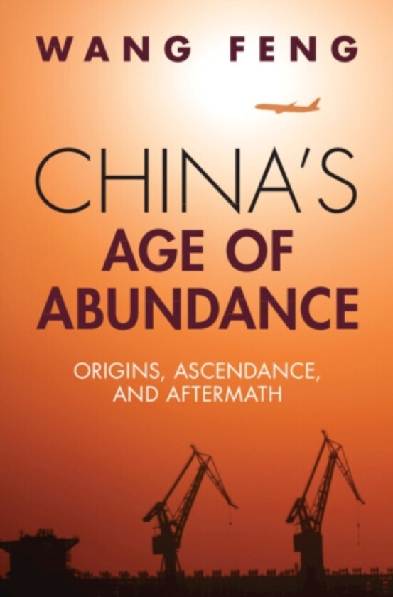 China's Age of Abundance av Feng Wang (Hardcover)