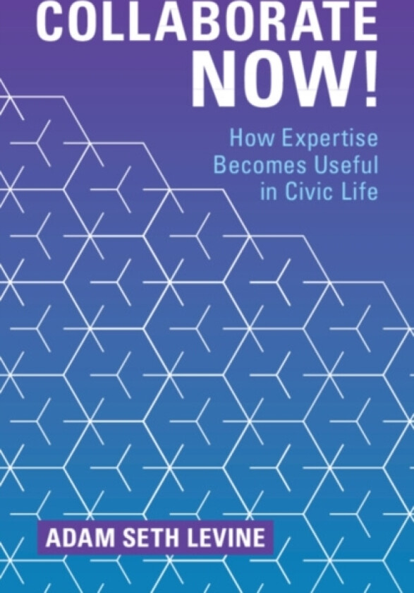 Collaborate Now! av Adam Seth Levine (Hardcover)