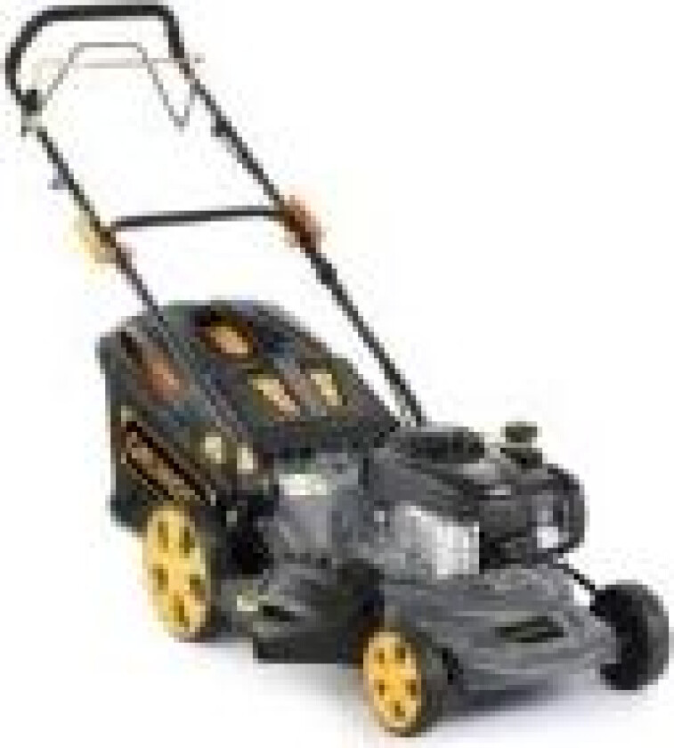 Petr. Lawnmower S461vhybs450e