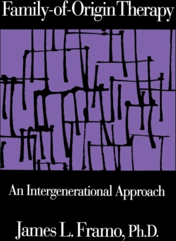 Family-Of-Origin Therapy av James L. Framo (Hardcover)