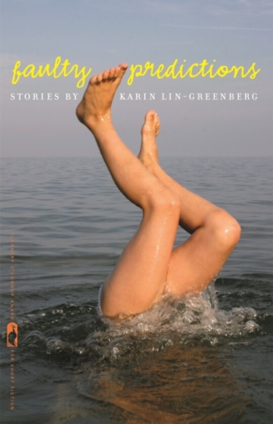 Faulty Predictions av Karin Lin-Greenberg (Paperback)
