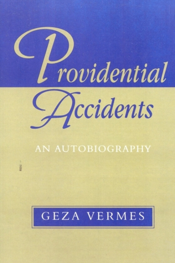 Providential Accidents av Geza Vermes (Paperback)